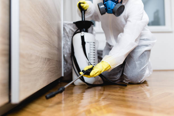 Best Pest Prevention Services  in Northwood, OH