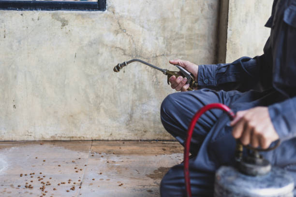 Best Best Pest Control Companies  in Northwood, OH