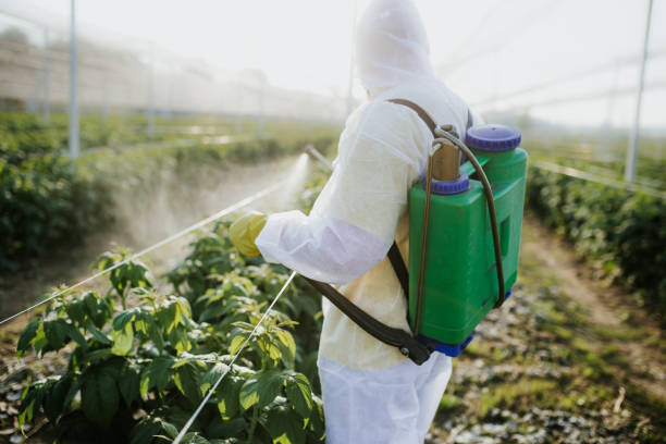 Northwood, OH Pest Control Company